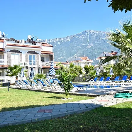 Timelettings Arnna